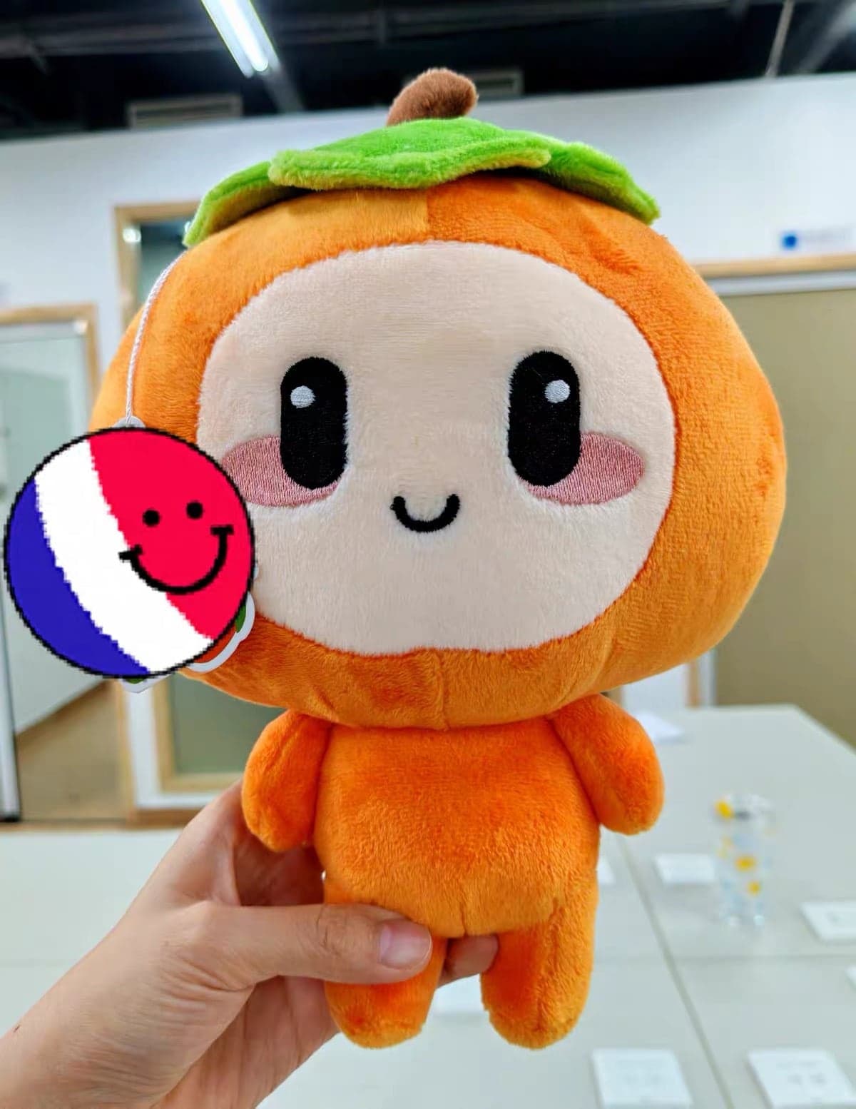 Custom plush keychains - customer case 5