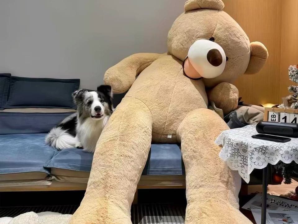 Giant Plush — Giant custom plush, oversized cuddle companions, and fantasy plush toys